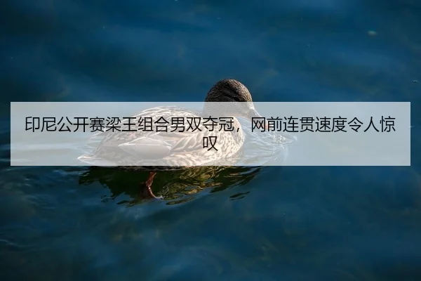 yin-ni-gong-kai-sai-liang-wang-zu-he-nan-shuang-duo-guan-wang-qian-lian-guan-su-du-ling-ren-jing-tan-2-416.jpg
